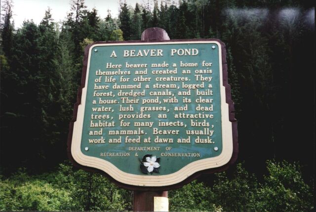 beaver_lake
